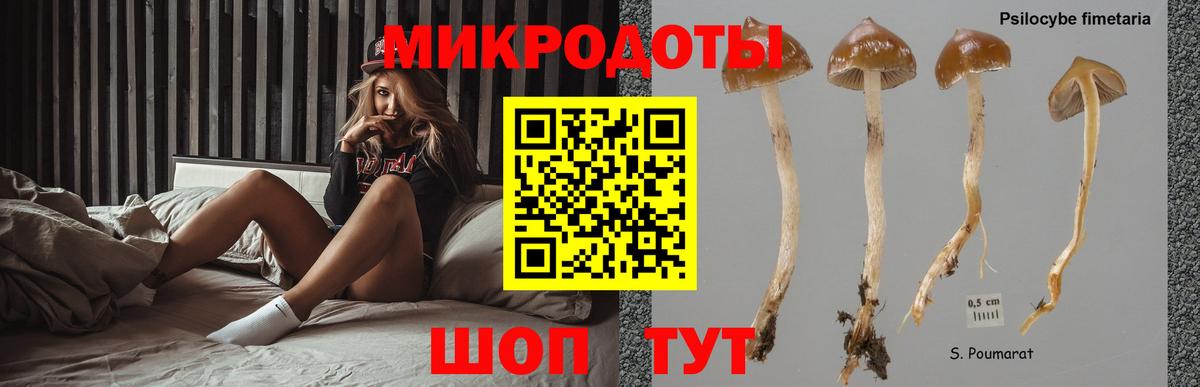 Псилоцибиновые грибы MAGIC MUSHROOMS  Вход с VPN  Тверь  Галлюциногенные грибы GOLDEN TEACHER 